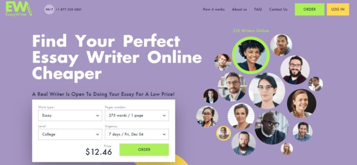 Cats, Dogs and narrative essay writer narrative essay writer And Love - How They Are The Same